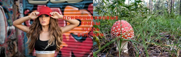 марки lsd Волосово