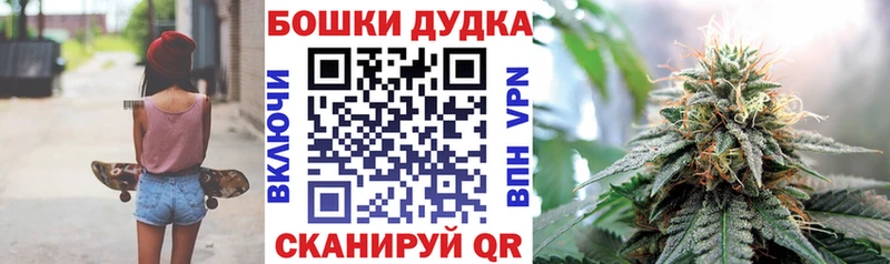 Конопля семена  Купить где  Гатчина 